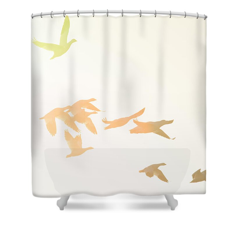 Geese With Flare Shower Curtain featuring the photograph Geese With Flare -- Flock of Geese at Merced National Wildlife Refuge, California by Darin Volpe