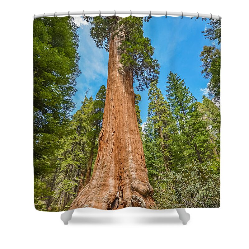Sequoia National Park Shower Curtain featuring the photograph General Grant by Asif Islam
