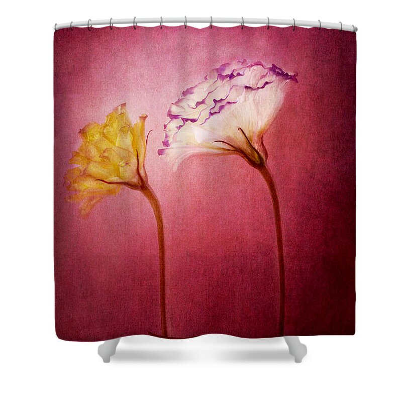 White Flower Shower Curtain featuring the photograph Gentle Touch by Marina Kojukhova