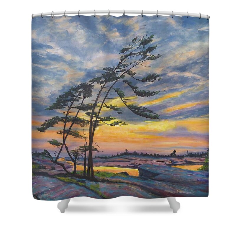 Painting Shower Curtain featuring the painting Georgian Bay Sunset by Brent Arlitt