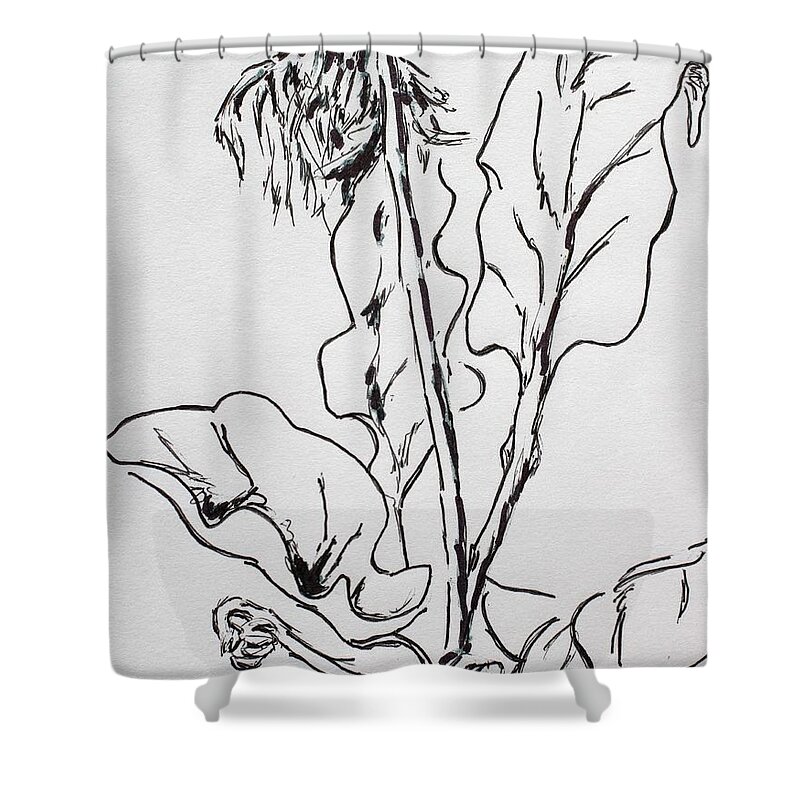Gerber Daisy Shower Curtain featuring the drawing Gerber Study I by Vonda Lawson-Rosa