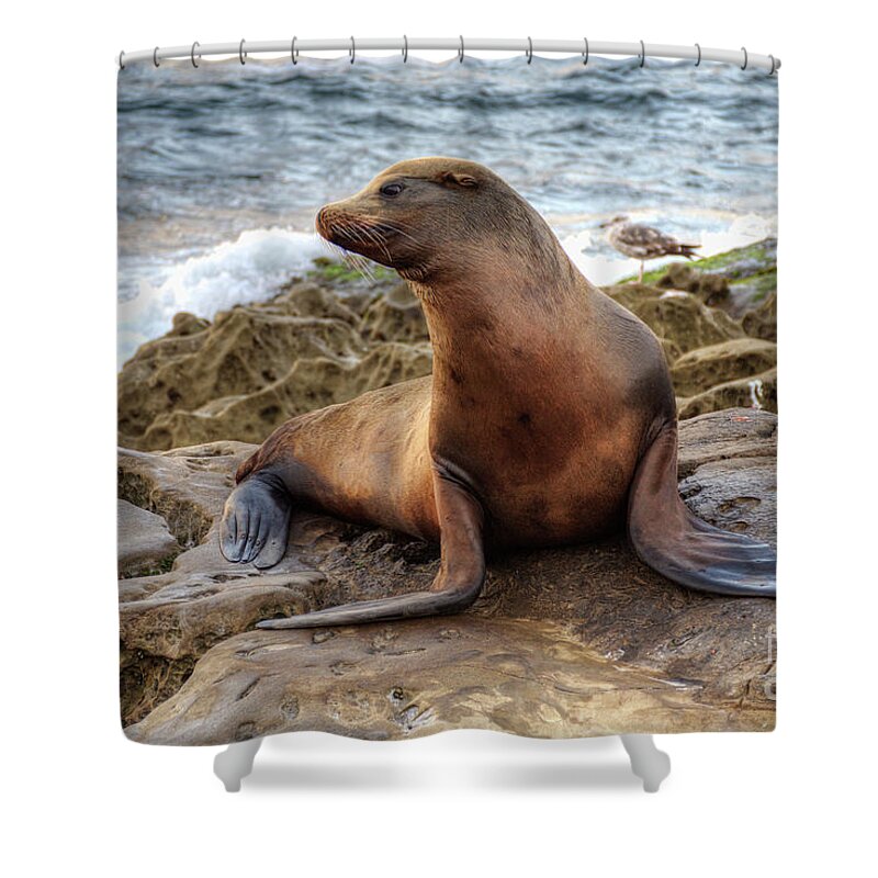 Sea Shower Curtain featuring the photograph Get My Good Side by Eddie Yerkish