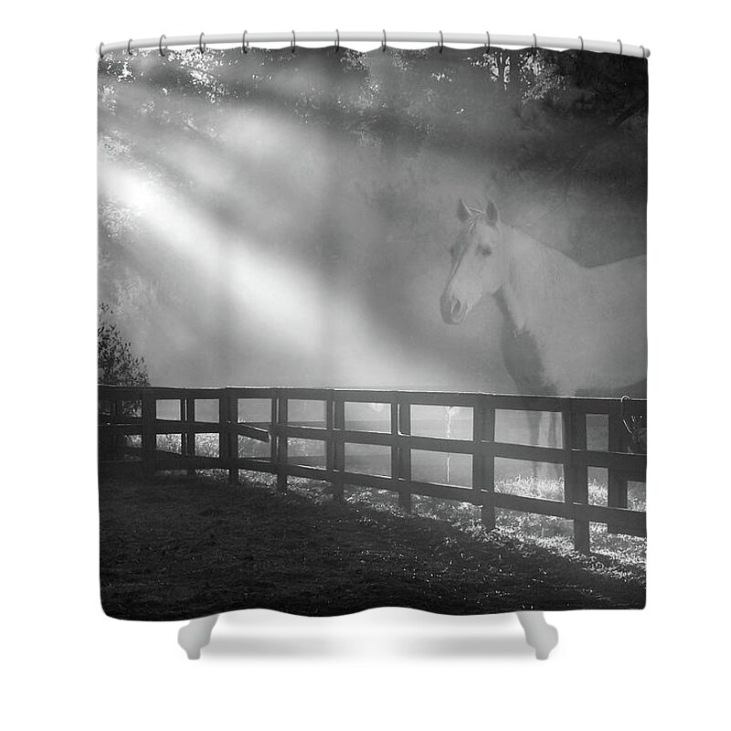 Sunrise Shower Curtain featuring the photograph Ghost Horse by Jerry Griffin