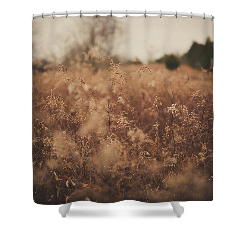 Nature Shower Curtain featuring the photograph Ghost by Shane Holsclaw