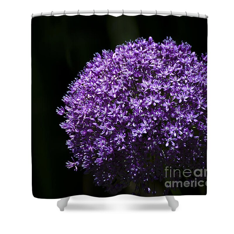 Flower Shower Curtain featuring the photograph Giant Allium by Andrea Silies