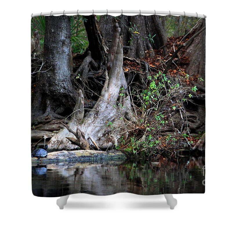 Cypress Knees Shower Curtain featuring the photograph Giant Cypress Knees by Barbara Bowen