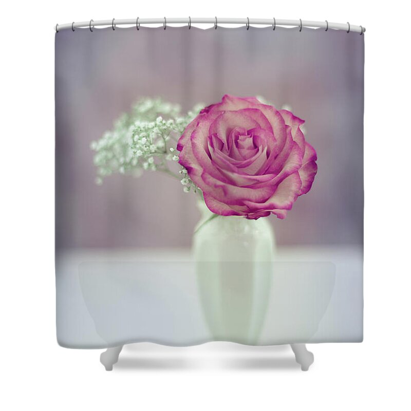 Rose Shower Curtain featuring the photograph Gift Of Love by Elvira Pinkhas