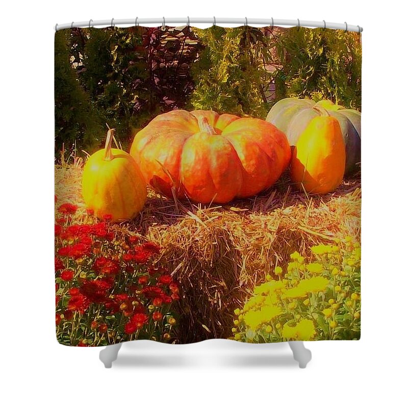 Pumpkin Shower Curtain featuring the photograph Gifts of Autumn by Sharon Ackley