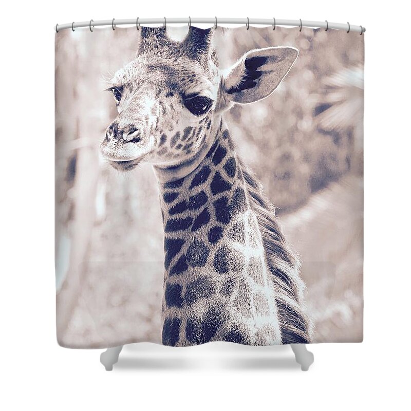 Giraffe Shower Curtain featuring the photograph Giraffe Portrait by Suzanne Oesterling