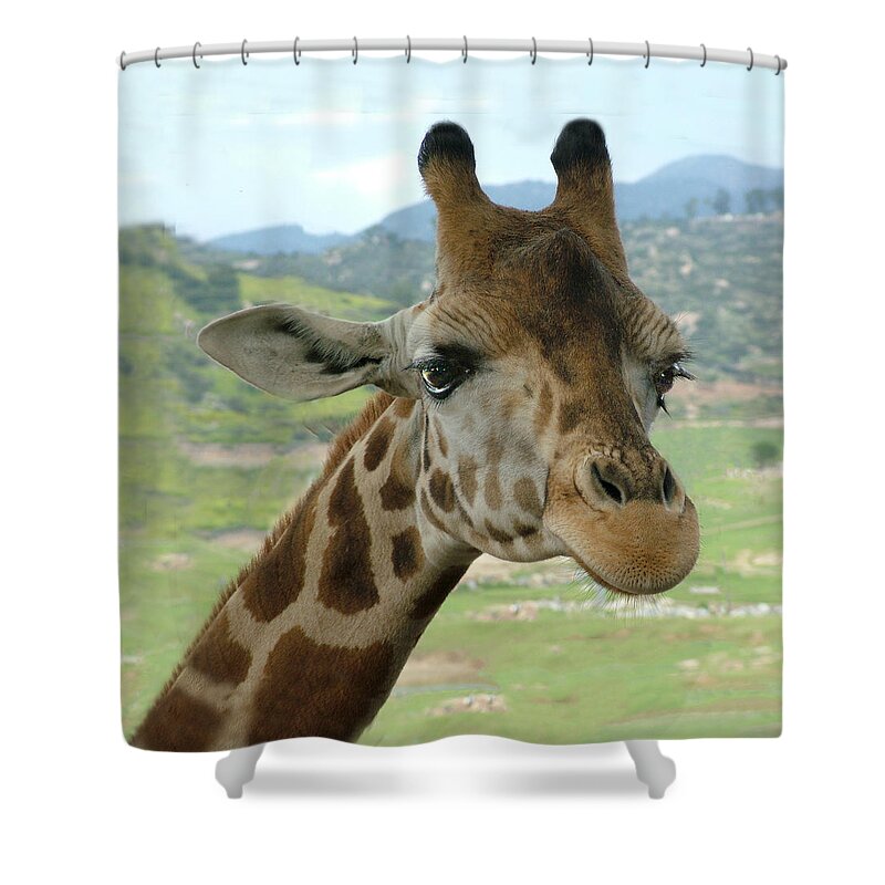 Giraffe Shower Curtain featuring the photograph Giraffe Portrait by William Bitman