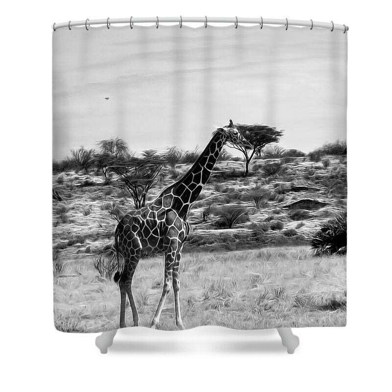 Giraffe Shower Curtain featuring the photograph Giraffes in Black and White by Cathy Anderson