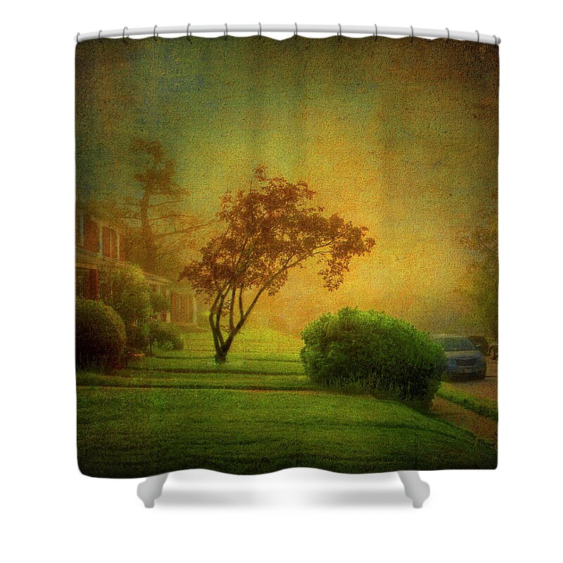 Surrelistric Shower Curtain featuring the photograph Gittings Avenue by Reynaldo Williams