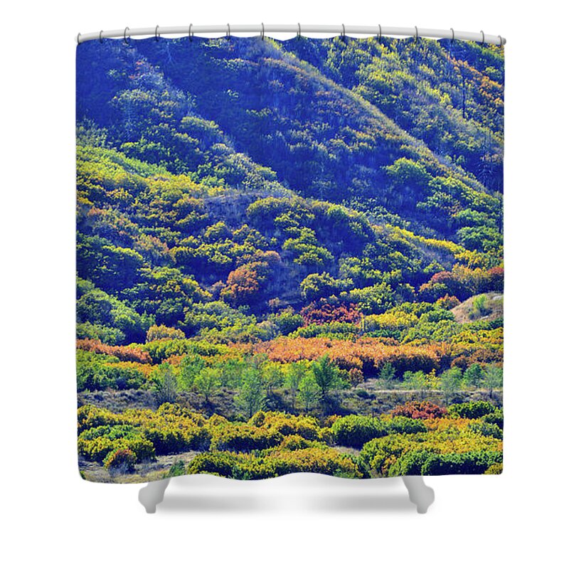 Colorado Shower Curtain featuring the photograph Glenwood Springs Fall Colors on Display by Ray Mathis