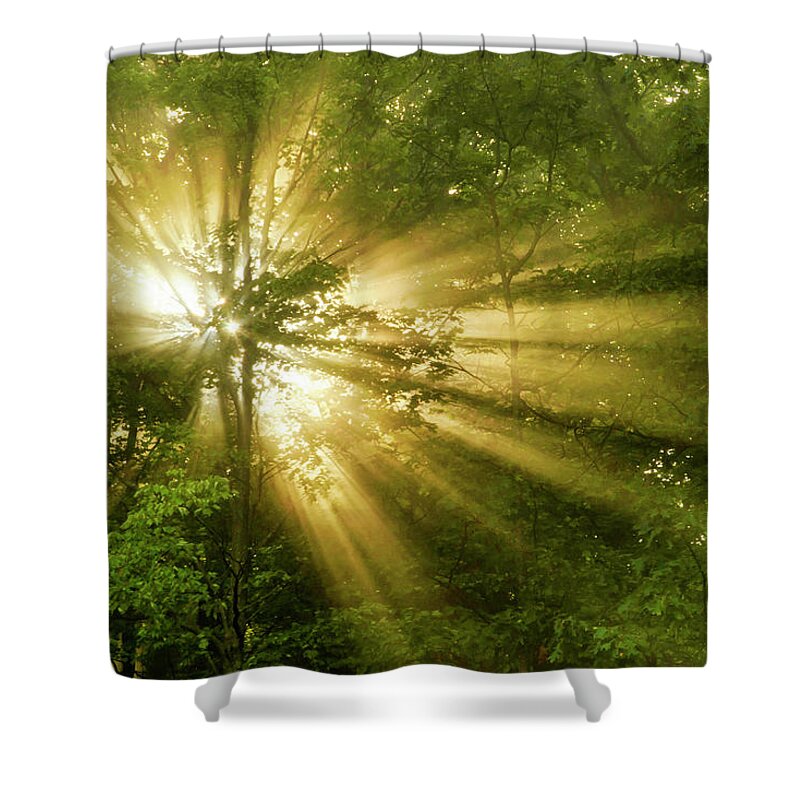 Sunrise Shower Curtain featuring the photograph Glorious Morning Sunrise by Christina Rollo