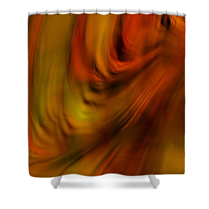 Digital Painting Shower Curtain featuring the photograph Glory of Sunset by Bonnie Bruno