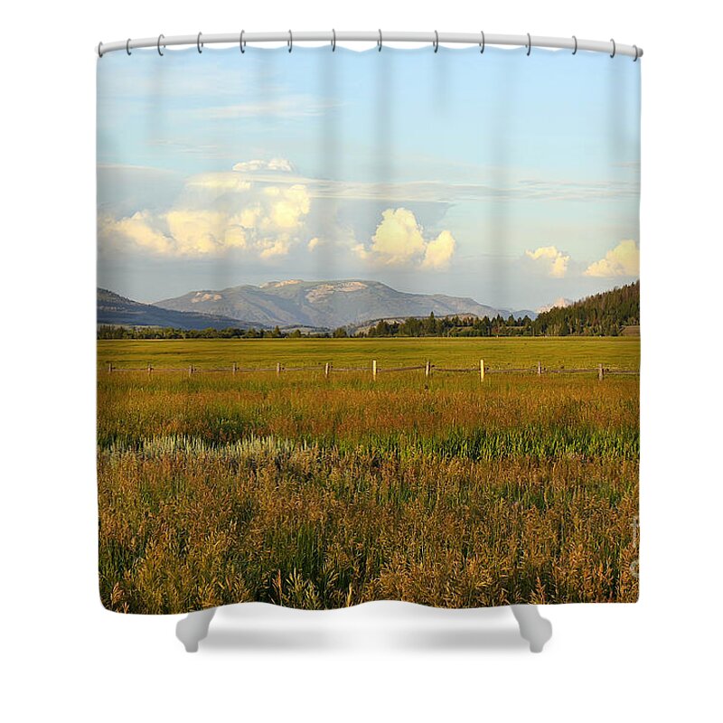 Meadow Shower Curtain featuring the photograph Glowing Meadow by Teresa Zieba