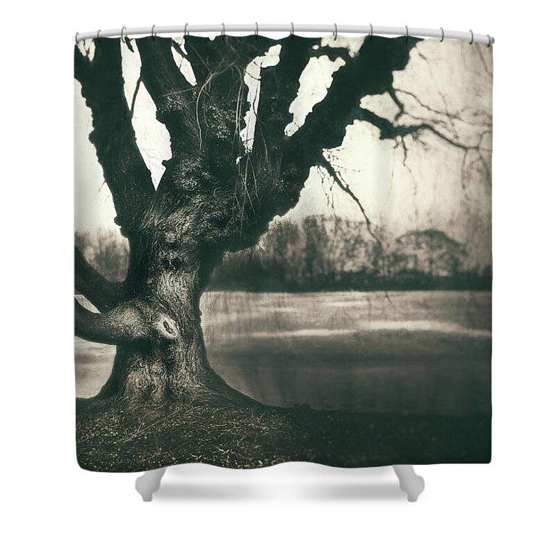 Gnarled Shower Curtain featuring the photograph Gnarled Old Tree by Scott Norris