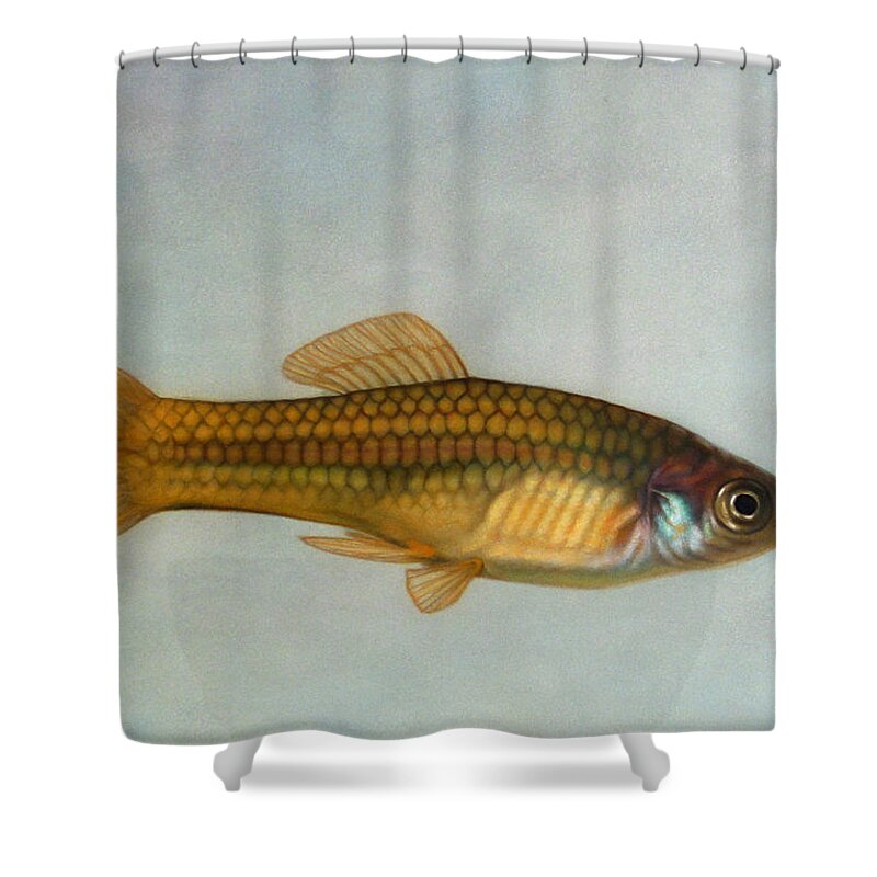 Fish Shower Curtain featuring the painting Go Fish by James W Johnson