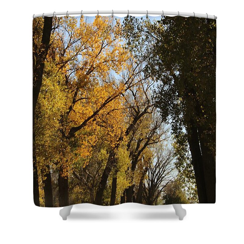 Fall Shower Curtain featuring the photograph Go for Walk by Yumi Johnson