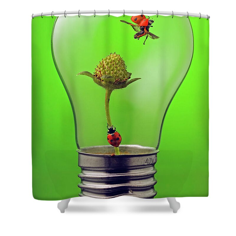 Macro Shower Curtain featuring the photograph Go green by William Lee