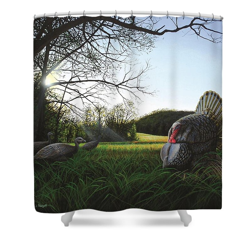 Turkey Shower Curtain featuring the painting Gobbler's Morning Dance by Anthony J Padgett
