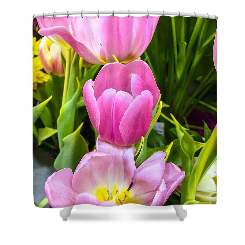 Tulips Shower Curtain featuring the photograph God's Tulips by Carlos Avila