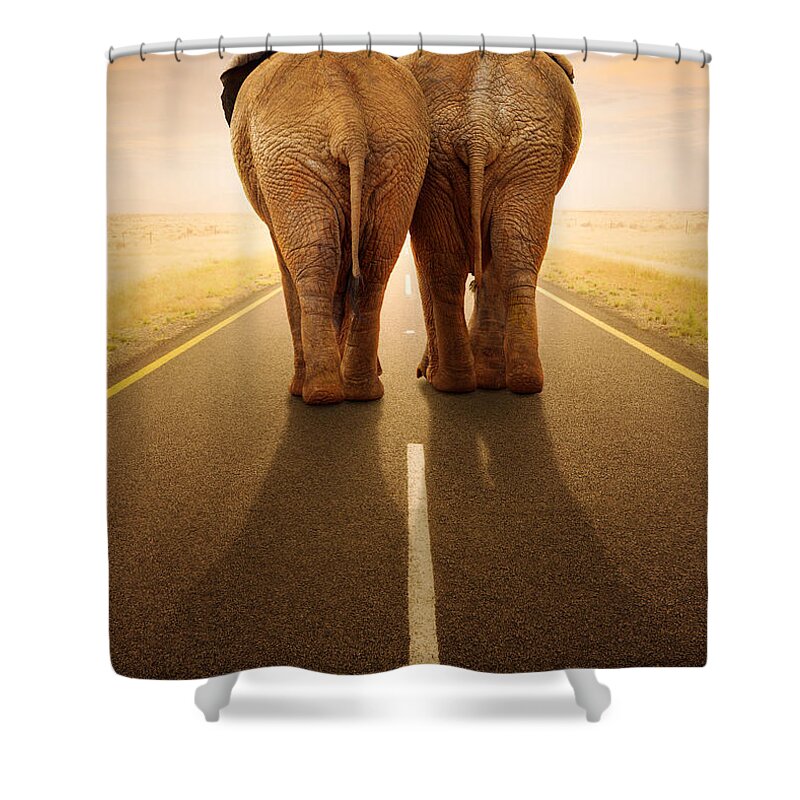 Elephant Shower Curtain featuring the photograph Going away together / travelling by road by Johan Swanepoel