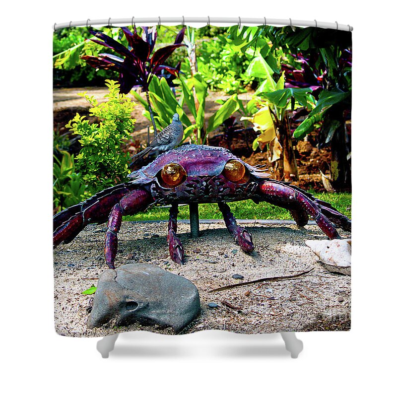 Crab Sculpture Shower Curtain featuring the photograph Going Piggyback on a Crab by Patricia Griffin Brett