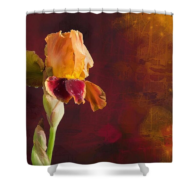 Beautiful Shower Curtain featuring the digital art Gold and Red Iris by Debra Baldwin