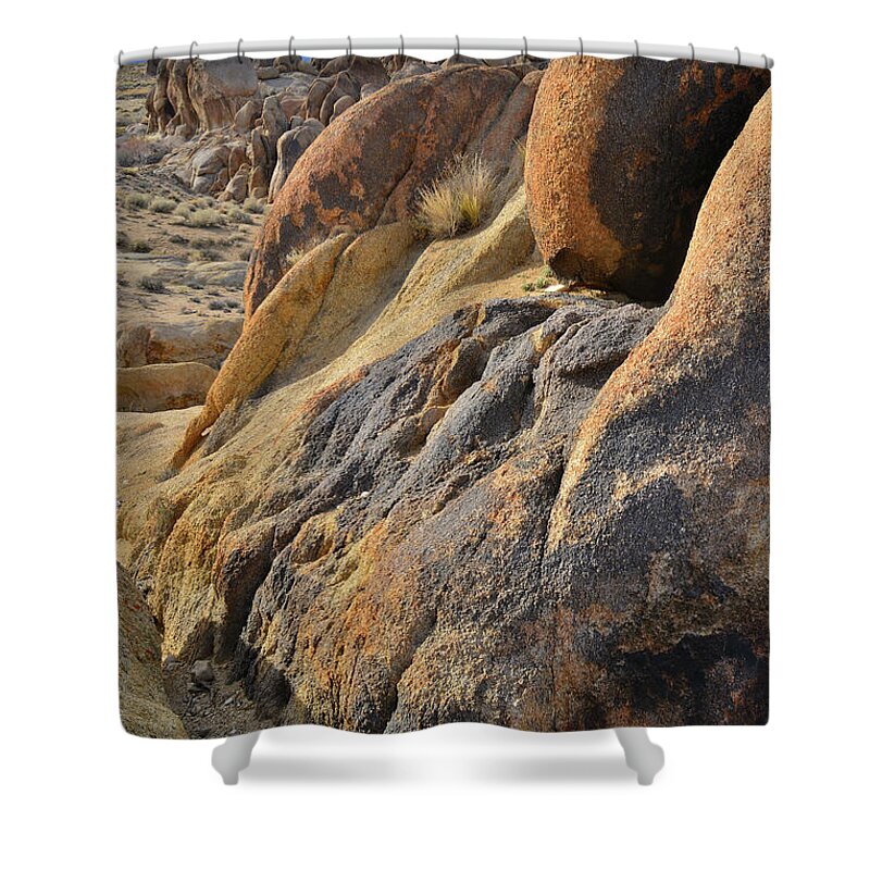 Alabama Hills Shower Curtain featuring the photograph Golden Boulders in Alabama Hills by Ray Mathis