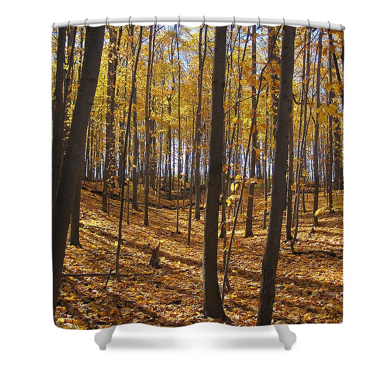 Tags Shower Curtain featuring the painting Golden dance by Leon Zernitsky