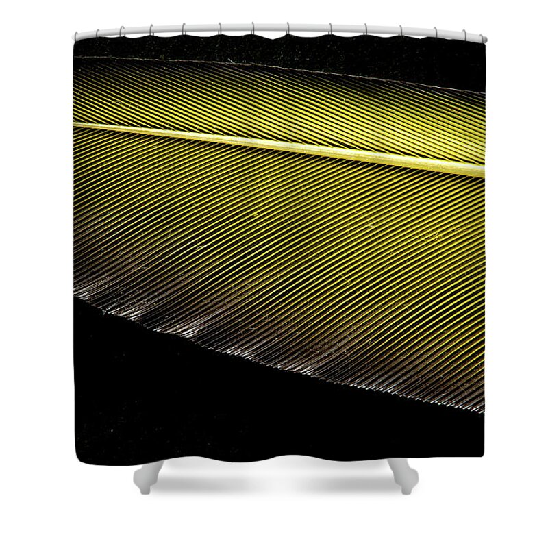 Feather Shower Curtain featuring the photograph Golden feather by Shin YAMADA