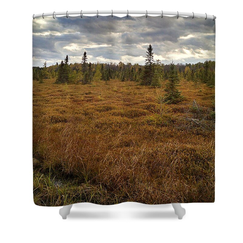Golden Forest Shower Curtain featuring the photograph Golden Forest by Stephanie Forrer-Harbridge