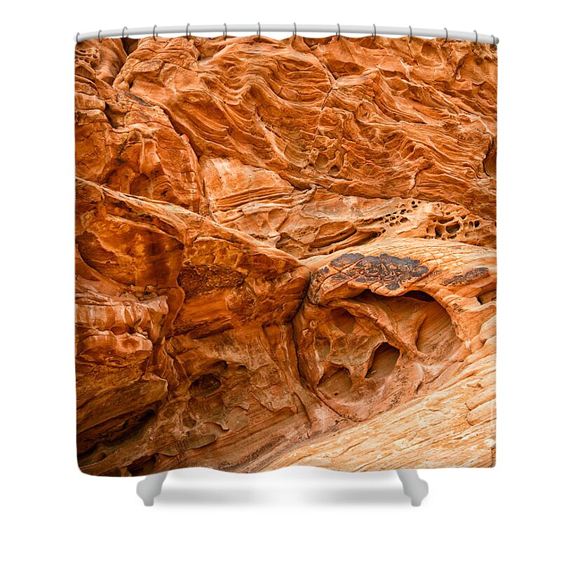 Valley Of Fire Shower Curtain featuring the photograph Golden by Jennifer Magallon