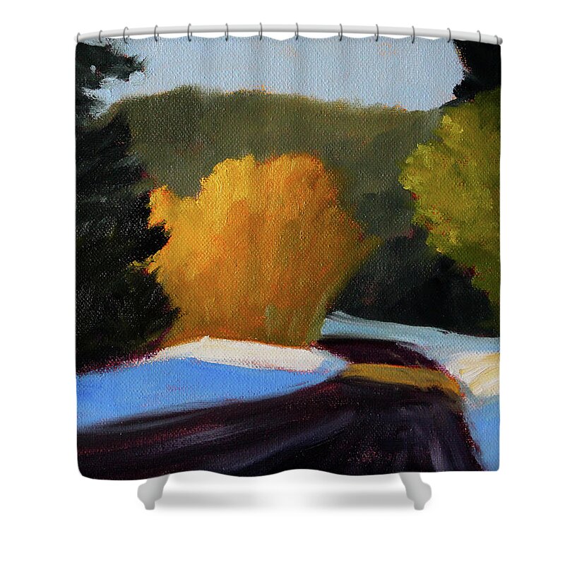 Northwest Landscape Painting Shower Curtain featuring the painting Golden Light Winter Road by Nancy Merkle