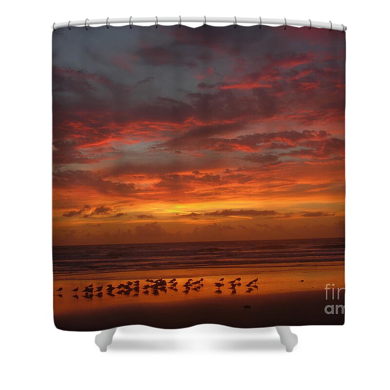 Sunrise Prints Shower Curtain featuring the photograph Golden morning 5-26-15 by Julianne Felton