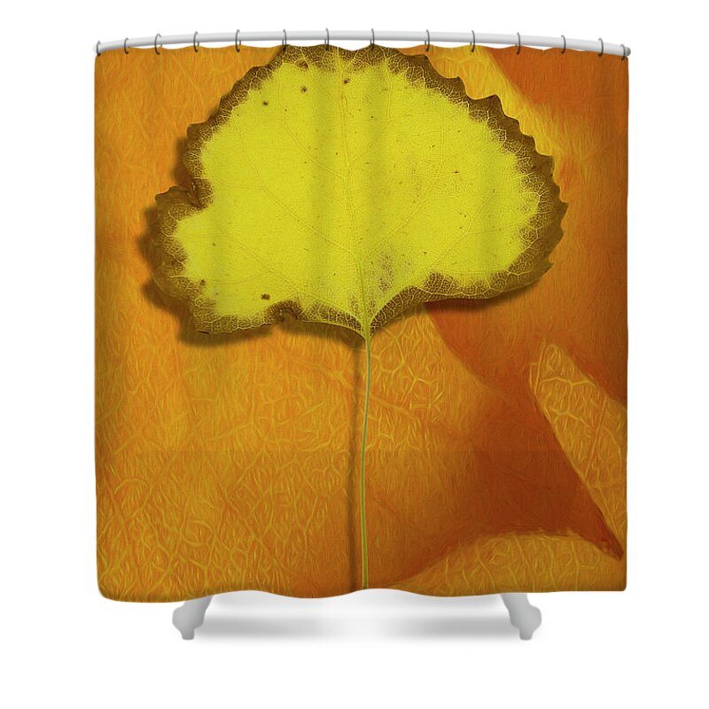 Desert Forest Garden Shower Curtain featuring the digital art Golden Oldie by Becky Titus
