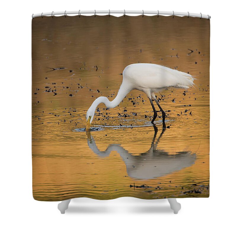 Egret Shower Curtain featuring the photograph Golden Pond by Eilish Palmer