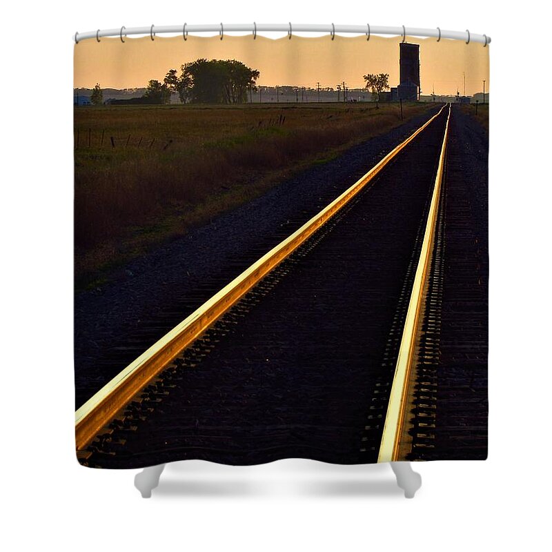 Photograph Shower Curtain featuring the photograph Rose Golden Railroad Tracks in Rural North Dakota by Delynn Addams