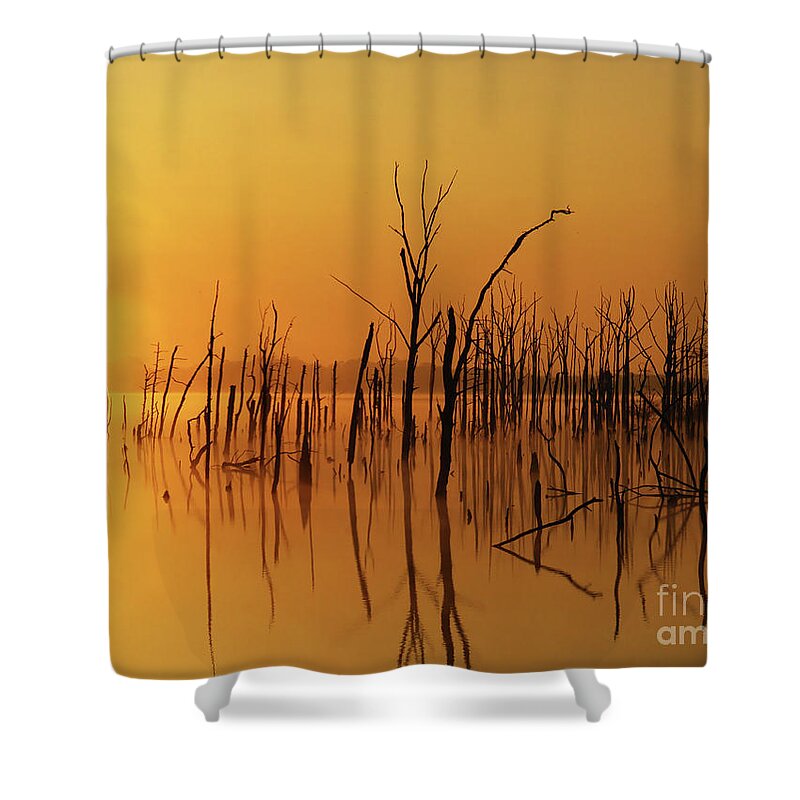 Gold Shower Curtain featuring the photograph Golden Reflections by Roger Becker