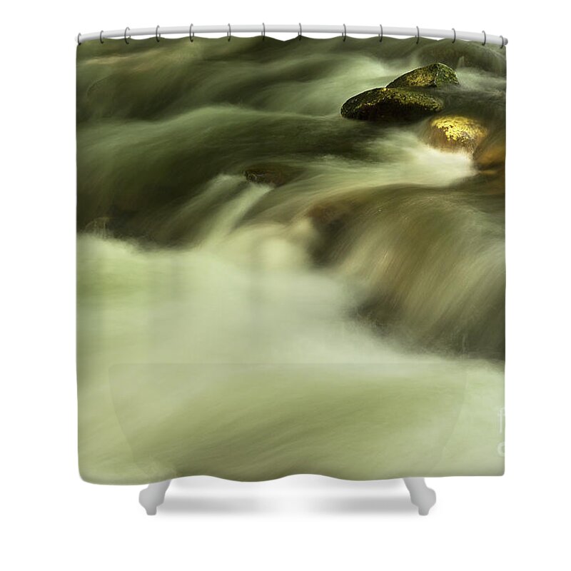 River Shower Curtain featuring the photograph Golden River by Mike Eingle