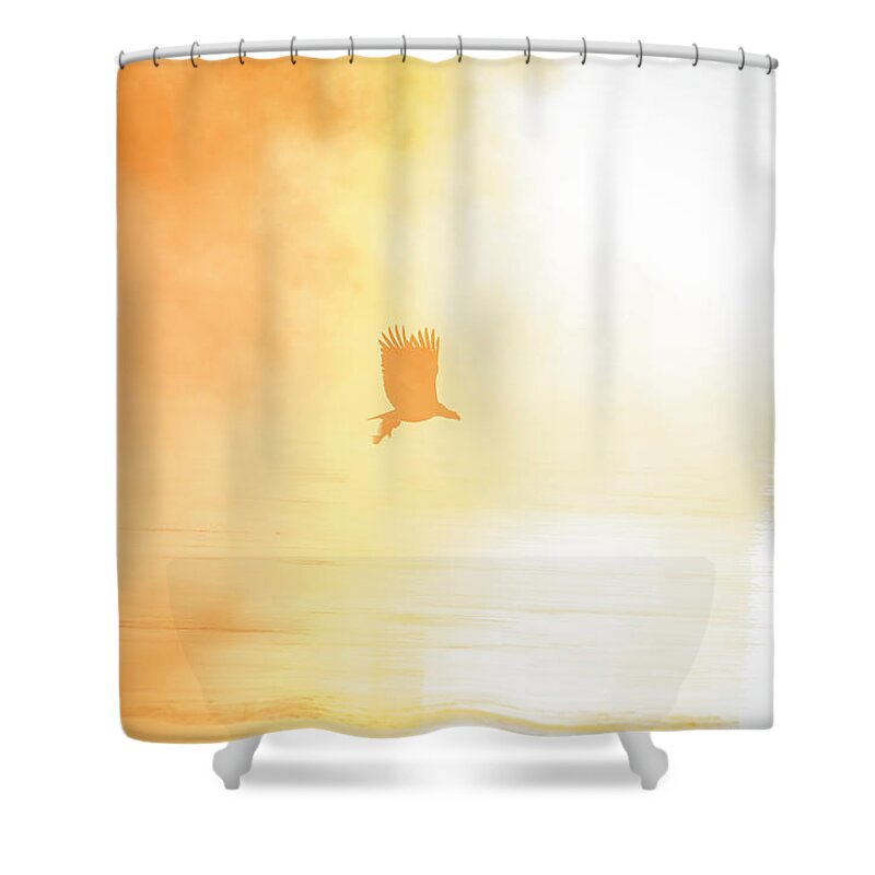 American Bald Eagle Shower Curtain featuring the photograph Golden Sunrise and Eagle 2016 by Thomas Young