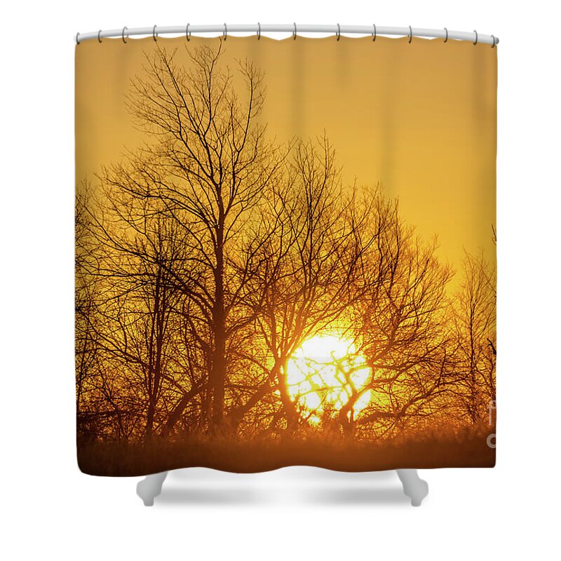 Cheryl Baxter Photography Shower Curtain featuring the photograph Golden Sunrise by Cheryl Baxter