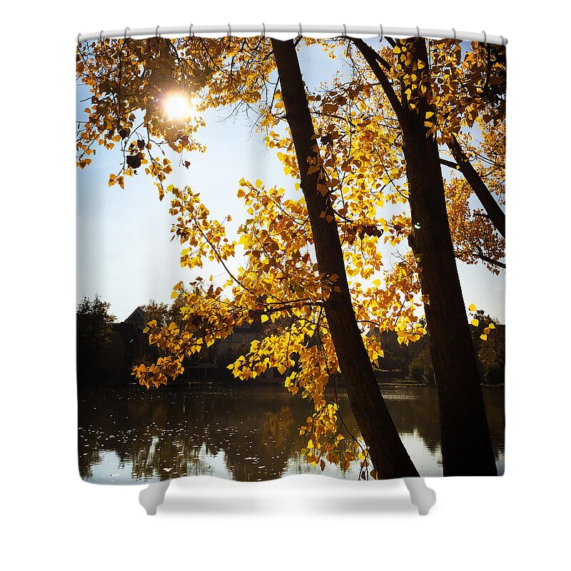 Tree Shower Curtain featuring the photograph Golden trees in autumn Sindelfingen Germany by Matthias Hauser
