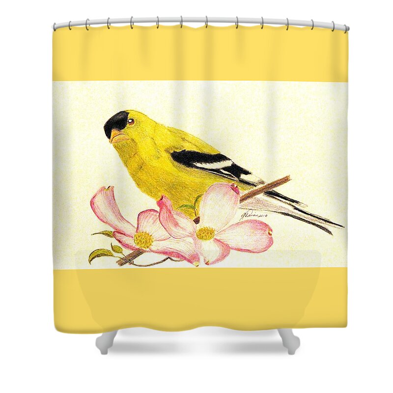 Goldfinches Shower Curtain featuring the drawing Goldfinch Spring by Angela Davies