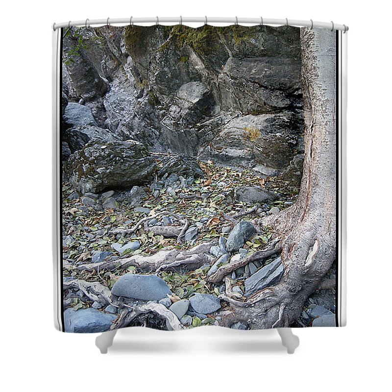 Trees Shower Curtain featuring the photograph Gollum's Cave by Karen W Meyer