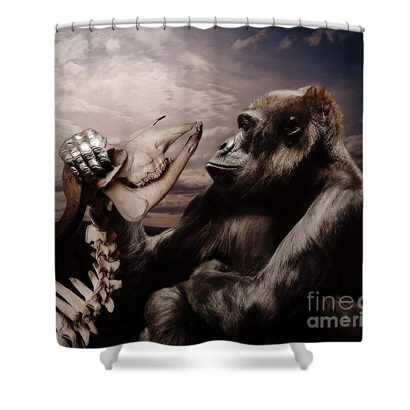 Gorilla Shower Curtain featuring the photograph Gorilla and Bones by Christine Sponchia