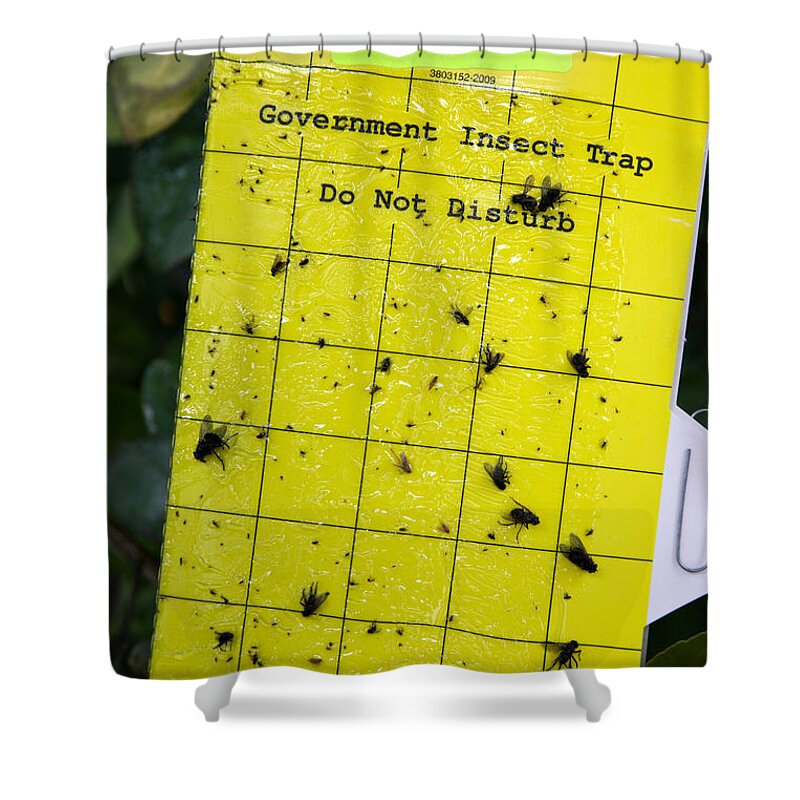 Insect Shower Curtain featuring the photograph Government Insect Trap by Inga Spence