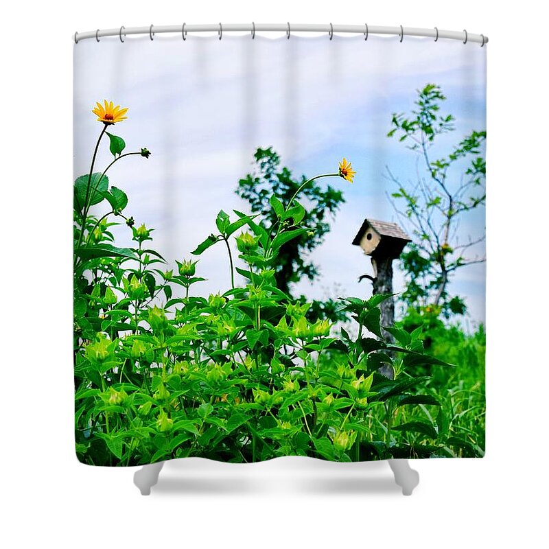 Governors Island Shower Curtain featuring the photograph Governors Island Birdhouse by Sandy Taylor