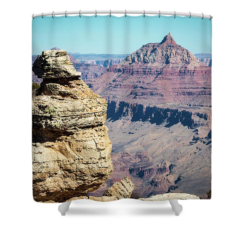 Grand Shower Curtain featuring the photograph Grand Canyon Duck on a Rock by Susie Weaver